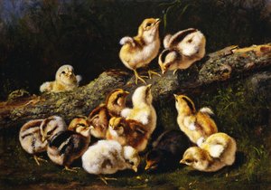 Kleine Haustiere