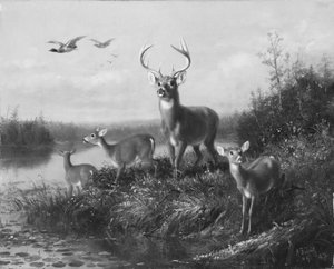 Auf der Hut, Bock und drei Rehe von Arthur Fitzwilliam Tait