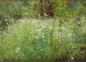 Wiesenmargeriten und Schwertlilien, 1920