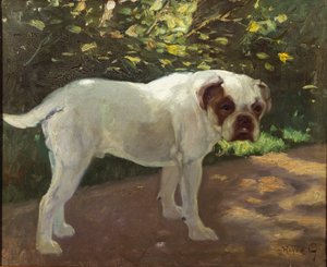 Ein Bulldogge auf einem Gartenweg von Arthur Heyer