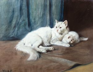 Eine weiße Perserkatze mit ihren Kätzchen