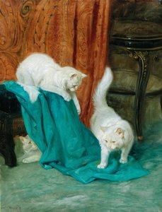 Katzen spielen von Arthur Heyer