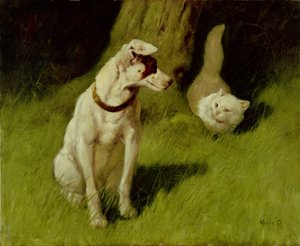 Weiße Perserkatze und Jack Russell