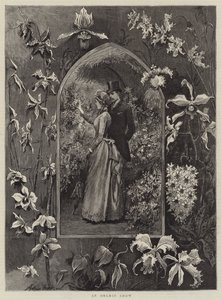 Eine Orchideenschau von Arthur Hopkins