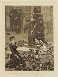 Taubenfütterung auf dem Markusplatz, Venedig