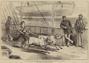Die Heimreise des Prinzen aus Indien, Leben an Bord der Serapis, Übung der Gainees von Arthur Hopkins