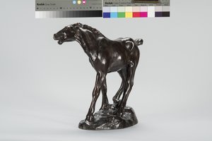Fohlen (Bronze)