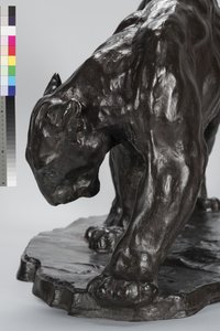 Großer Puma riecht Ochsenfährte von Arthur Putnam