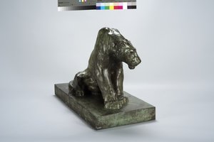Puma auf Wache