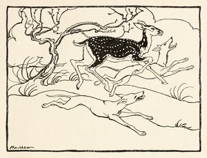 Becfola in ihrem Wagen aus The Wooing of Becfola in Irish Fairy Tales