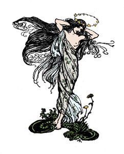 Illustration für Ein Sommernachtstraum von William Shakespeare von Arthur Rackham