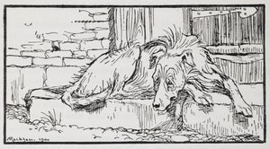 Illustration eines Hundes aus Der alte Sultan
