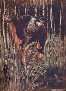 Die Fische streckten vor Freude ihre Köpfe aus dem Wasser und versprachen, ihn zu belohnen, aus Die Märchen der Brüder Grimm, veröffentlicht 1909