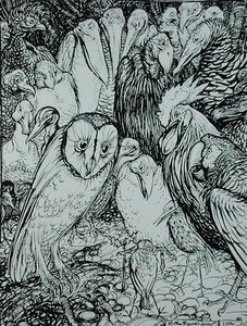 Die Eule und die Vögel, Illustration aus 