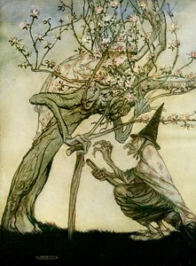Die zwei Schwestern von Arthur Rackham