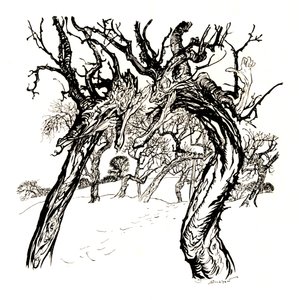 Flüsternde Bäume, aus A Dish of Apples, 1917, 1923 von Arthur Rackham