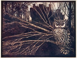 Oder eine Kreischeule, aus Die Märchen der Brüder Grimm, veröffentlicht 1909 von Arthur Rackham