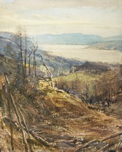 Coniston von Near Tarn Hows