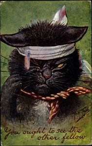 Katze, du solltest den anderen Kerl sehen von Arthur Thiele