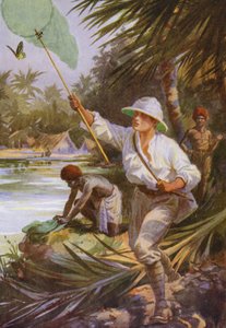 Schöne Schmetterlinge: Ein Sammler bei der Arbeit in Neuguinea