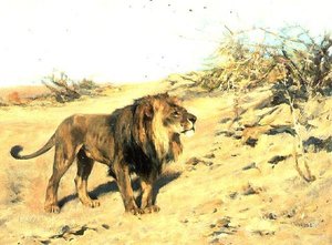 Ein Löwe im Gebüsch von Arthur Wardle