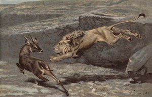 Ein nächtlicher Angriff von Arthur Wardle