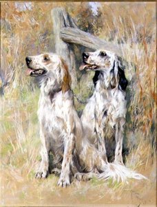 Englische Setter an einem Gatter von Arthur Wardle