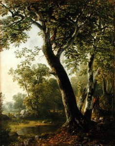 Studie in Marbletown, Ulster County, New York, ca. 1845 von Asher Brown Durand