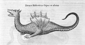 Drache