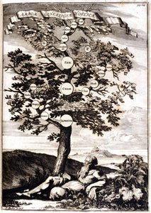 Stammbaum von Noe nach: Athanasius Kircher, Turris Babel, Rom 1675 Mailand