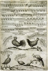 Das von bestimmten Vögeln ausgesendete Lied, ausgedrückt durch musikalische Noten nach: „Musurgia Universalis“ von Athanasius Kircher von Athanasius Kircher