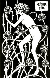 Hermaphrodit unter den Rosen aus 