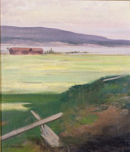 Landschaft mit einem Steg, Norrland, Schweden von August Hagborg
