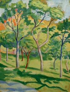 Bäume in der Wiese von August Macke