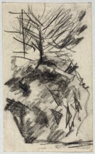 Baum am Abhang
