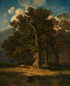 Waldlandschaft
