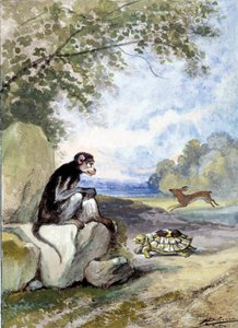 Illustration der Fabel „Der Hase und die Schildkröte“ von Jean de La Fontaine