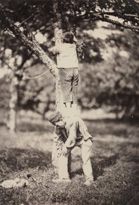 Französische Landstudie: Zwei Jungen klettern auf einen Baum