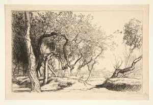 Die verdrehten Bäume (Saint-Jean-de-Monts) von Auguste Lepere