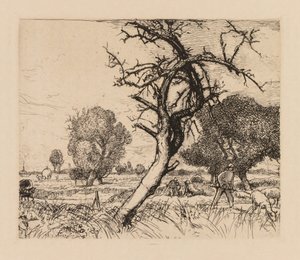 Auguste Lepère: Der tote Apfelbaum (Picardie) von Auguste Louis Lepère