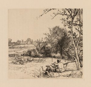 Der umgestürzte Apfelbaum, Picardie