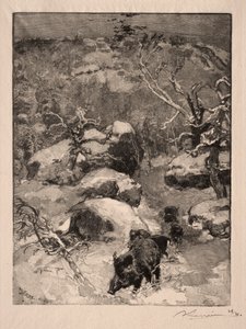 Roche Cuvier Chatillon von Auguste Louis Lepère
