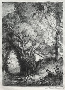Die Schlucht im Juni