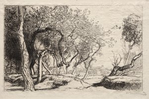 Der verdrehte Baum, 1915 von Auguste Louis Lepère