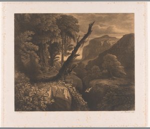 Berglandschaft mit Vogel fliegend durch ein Tal