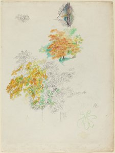 Studien von Bäumen von Auguste Renoir