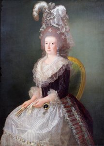 Porträt der Marquise de San Andres