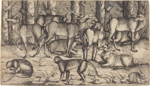 Hirsche im Wald von Augustin Hirschvogel