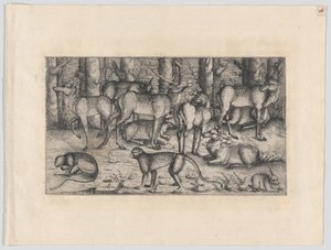 Hirsche im Wald, 1545 von Augustin Hirschvogel
