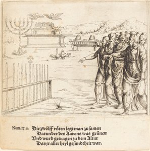 Das Blühen von Aarons Stab von Augustin Hirschvogel
